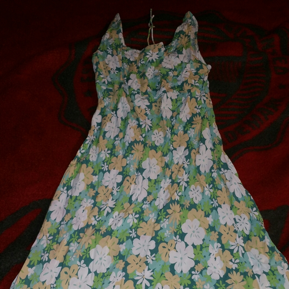 Anne Taylor Loft dress
